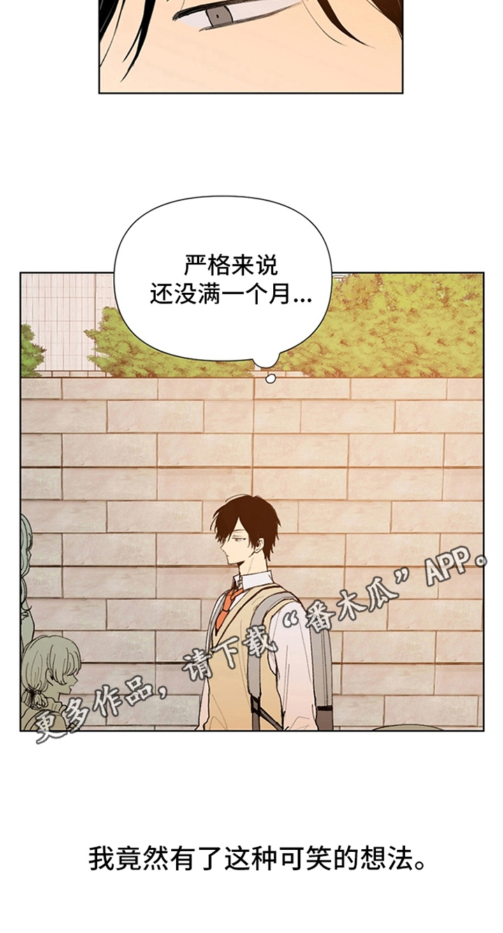 第23章：可笑的想法7