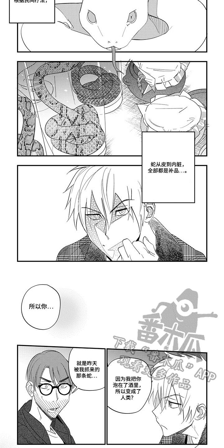 第6章：解释4
