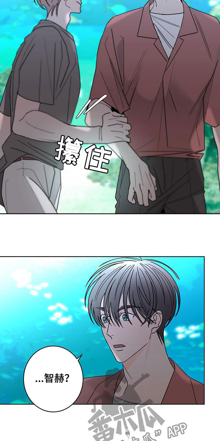 第52章：快去吧16