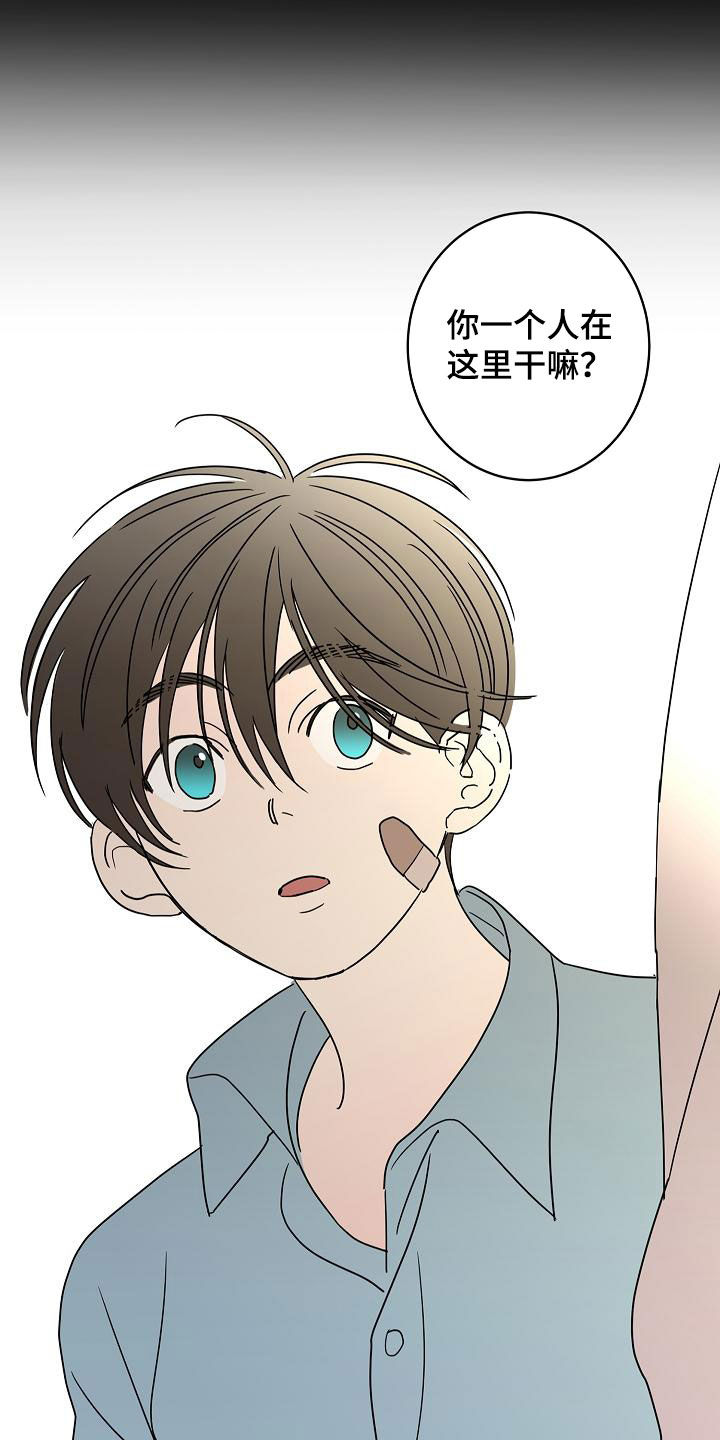 第40章：私生子19