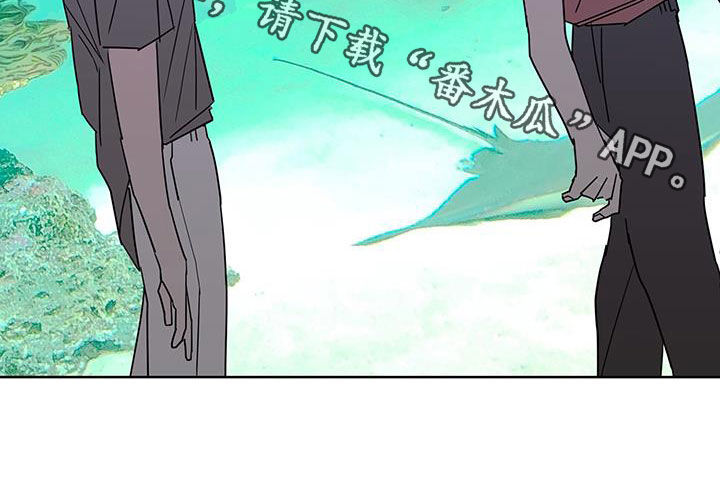 第52章：快去吧21