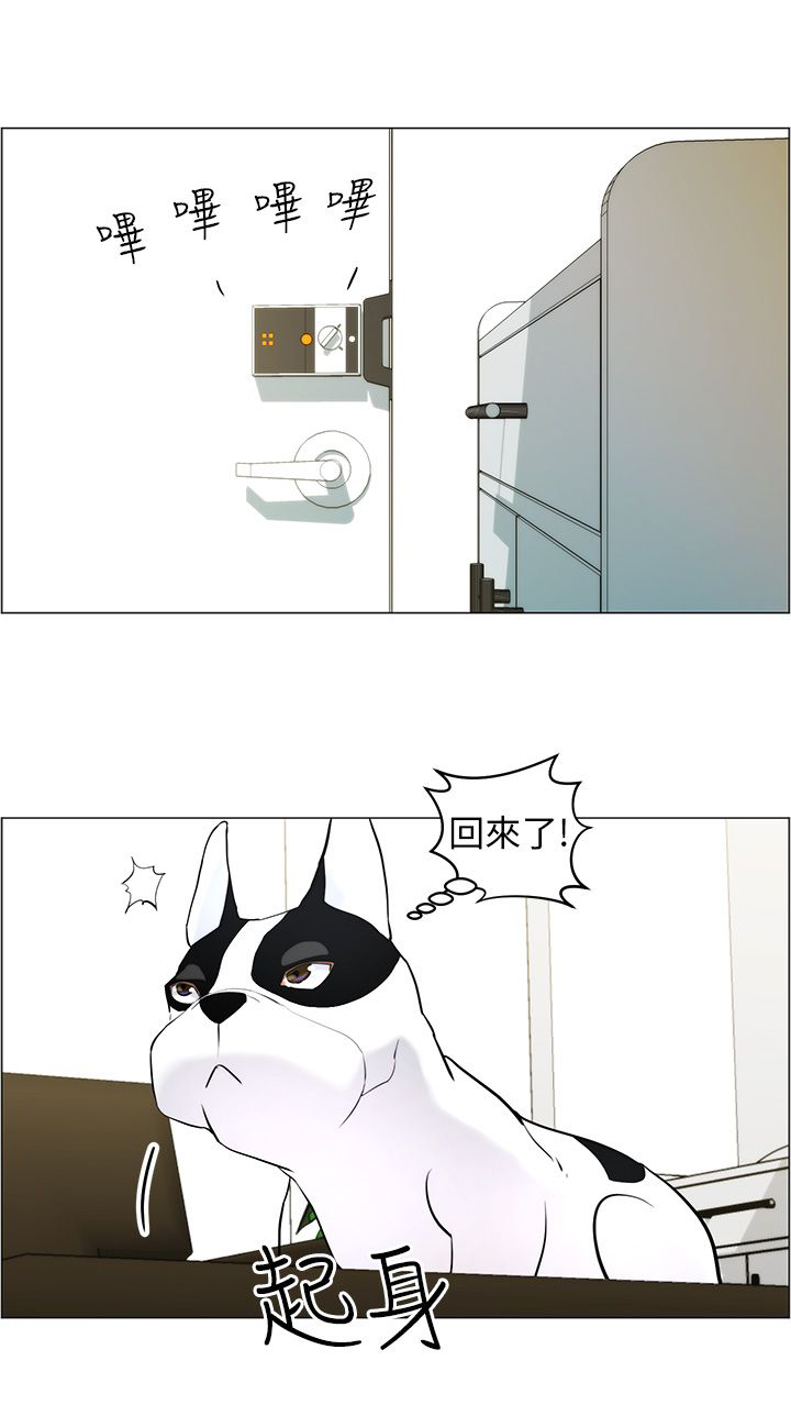第11话13