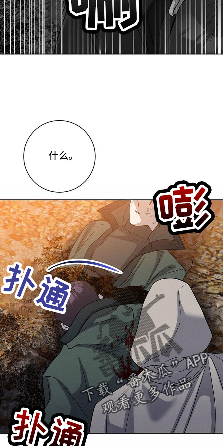 第45章：出大事了17