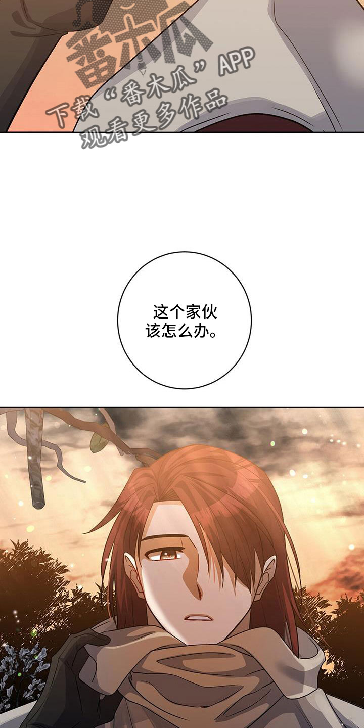 第45章：出大事了20