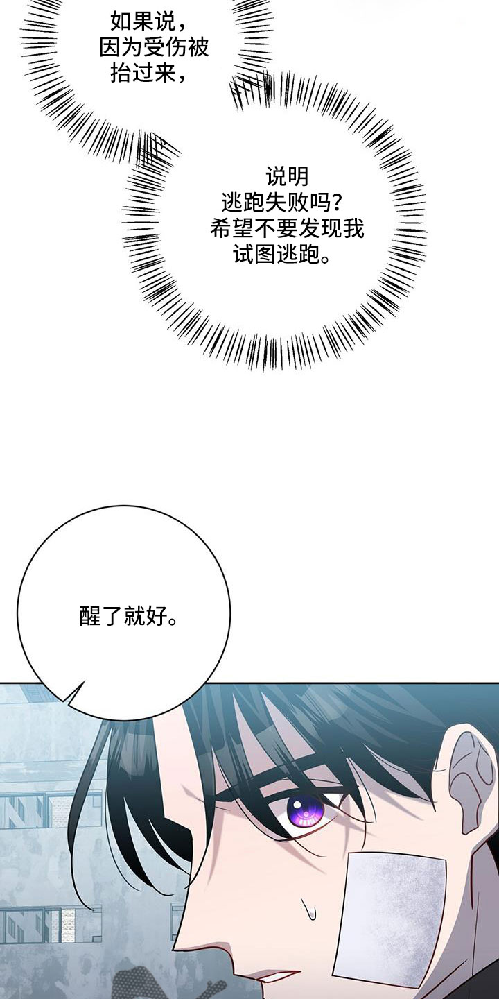 第47章：擅长树敌14