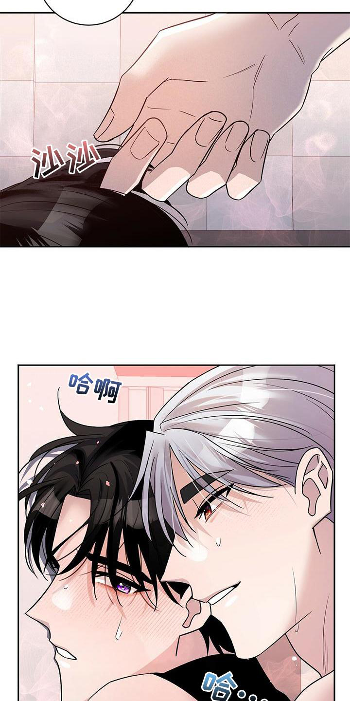 第20章：安排13