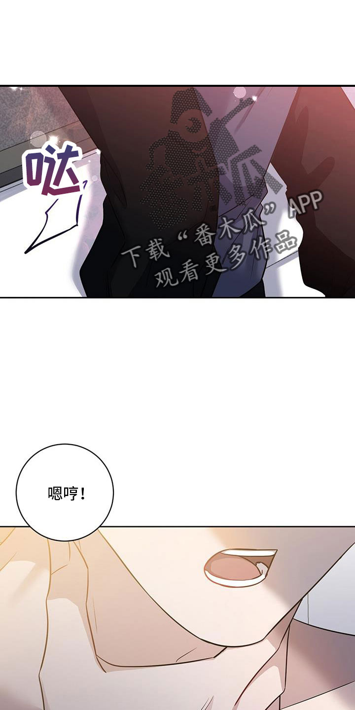 第41章：期待一下1