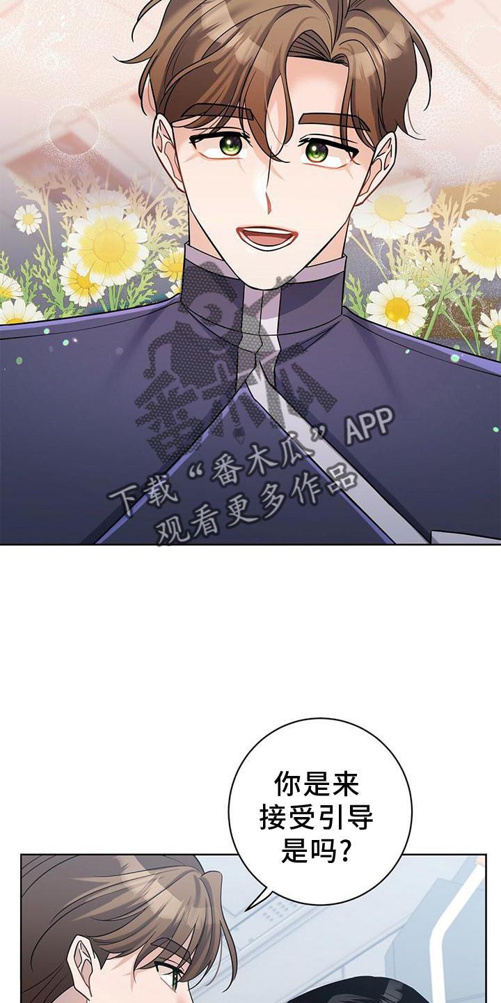 第17章：计划25