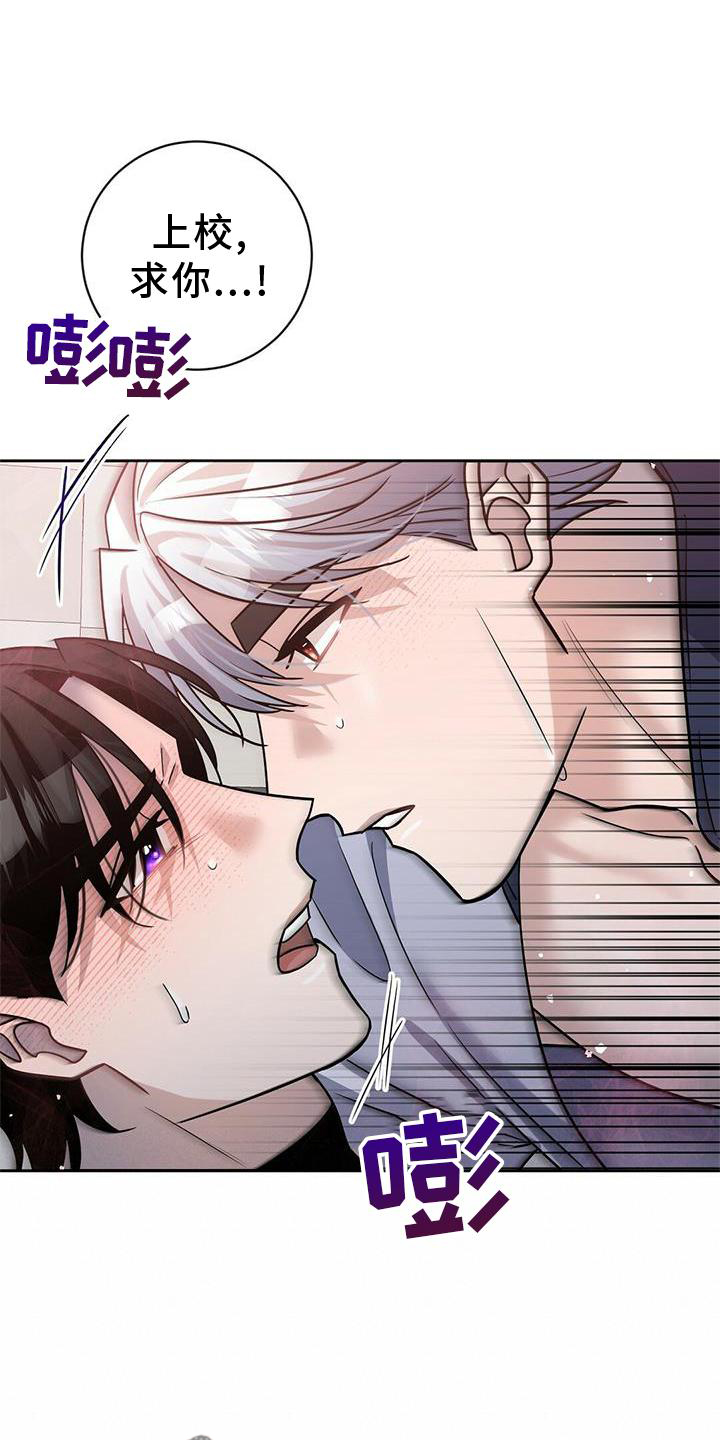 第20章：安排1