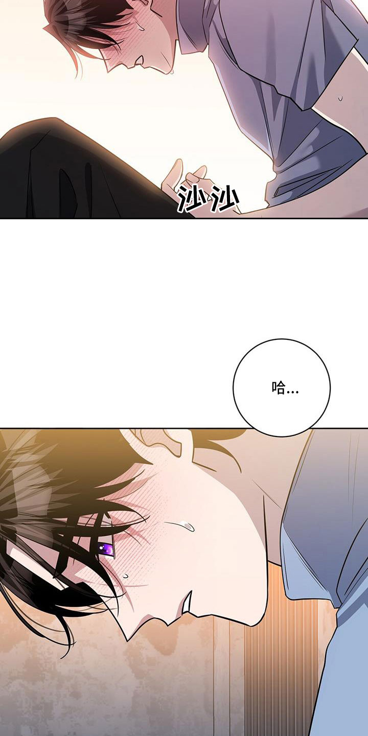 第52章：掉出4