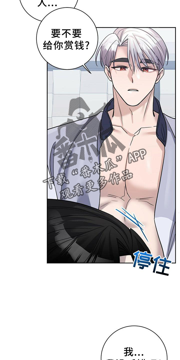 第20章：安排6