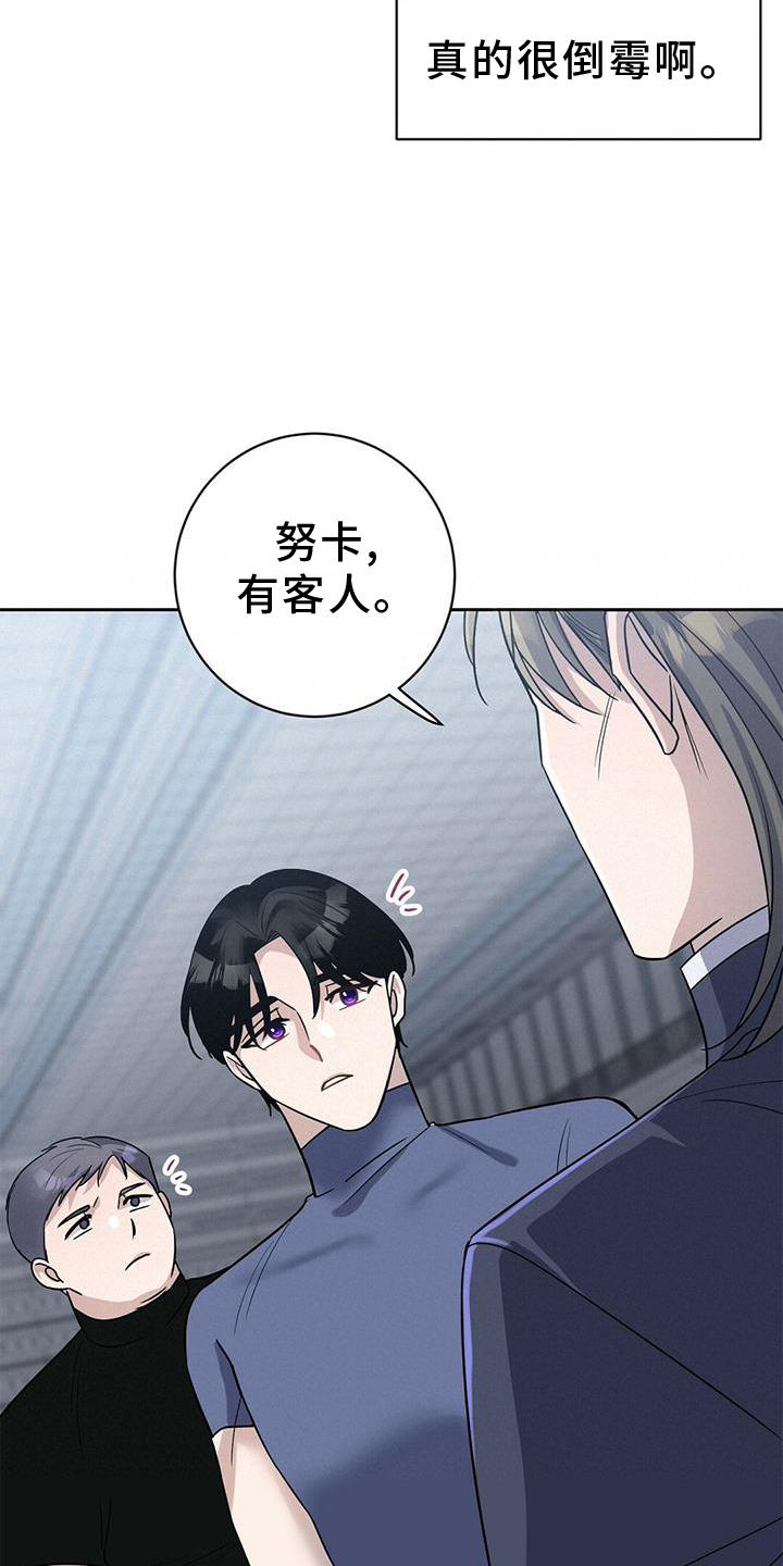 第20章：安排20