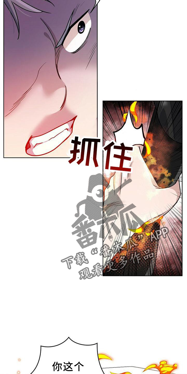 第17章：计划5