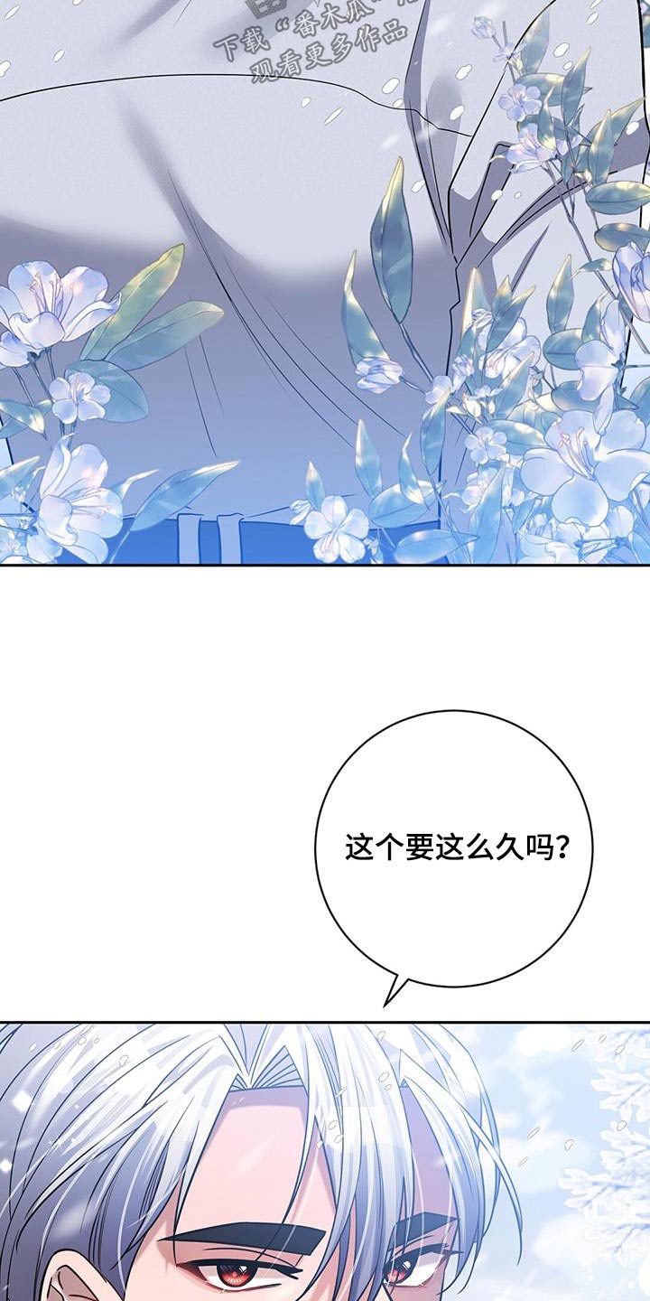 第62章：我的人生7