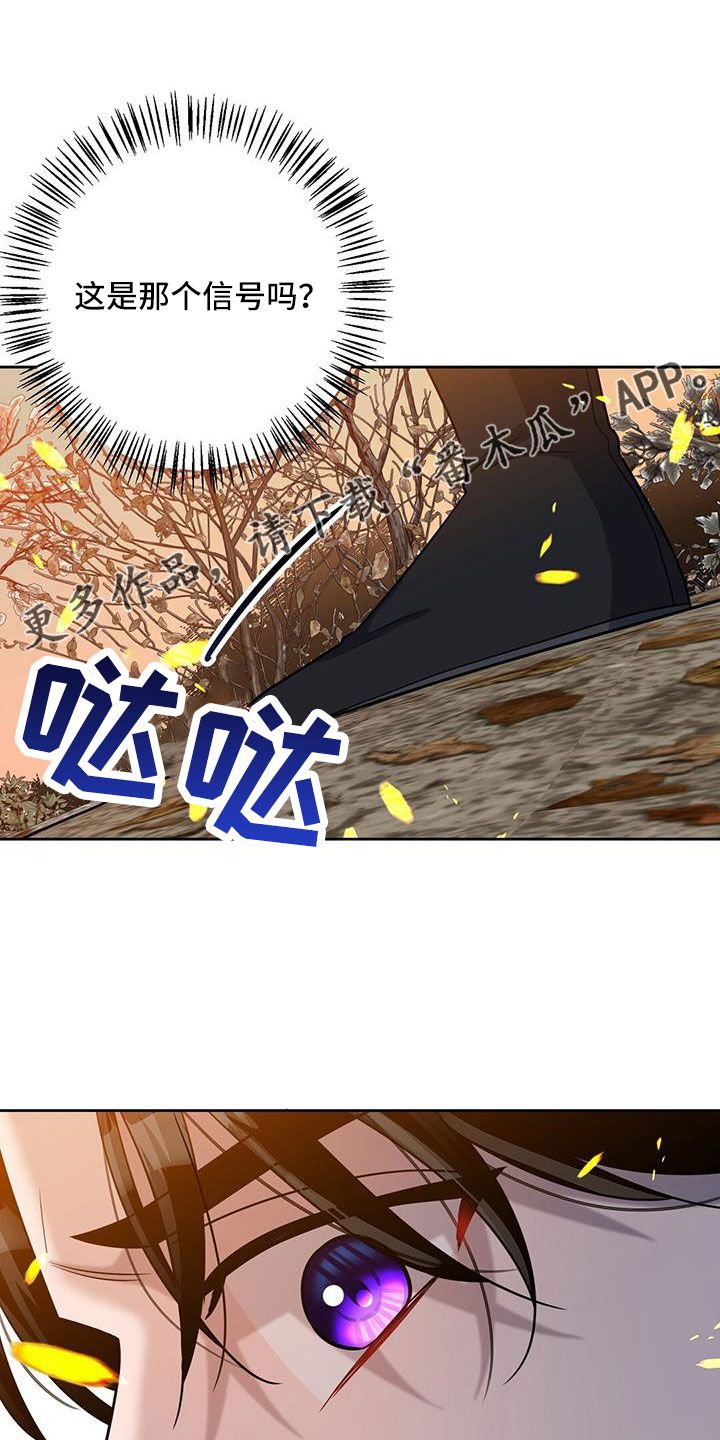 第44章：出征31