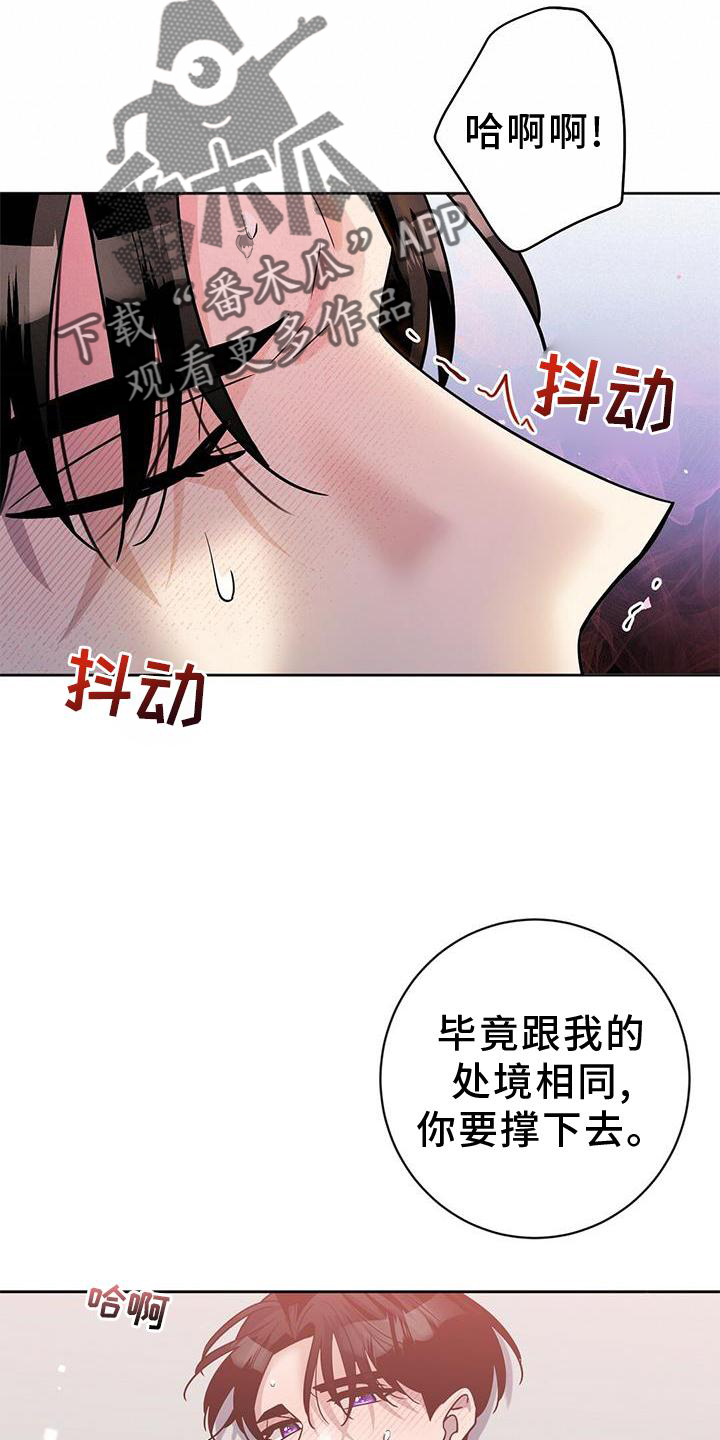 第20章：安排2