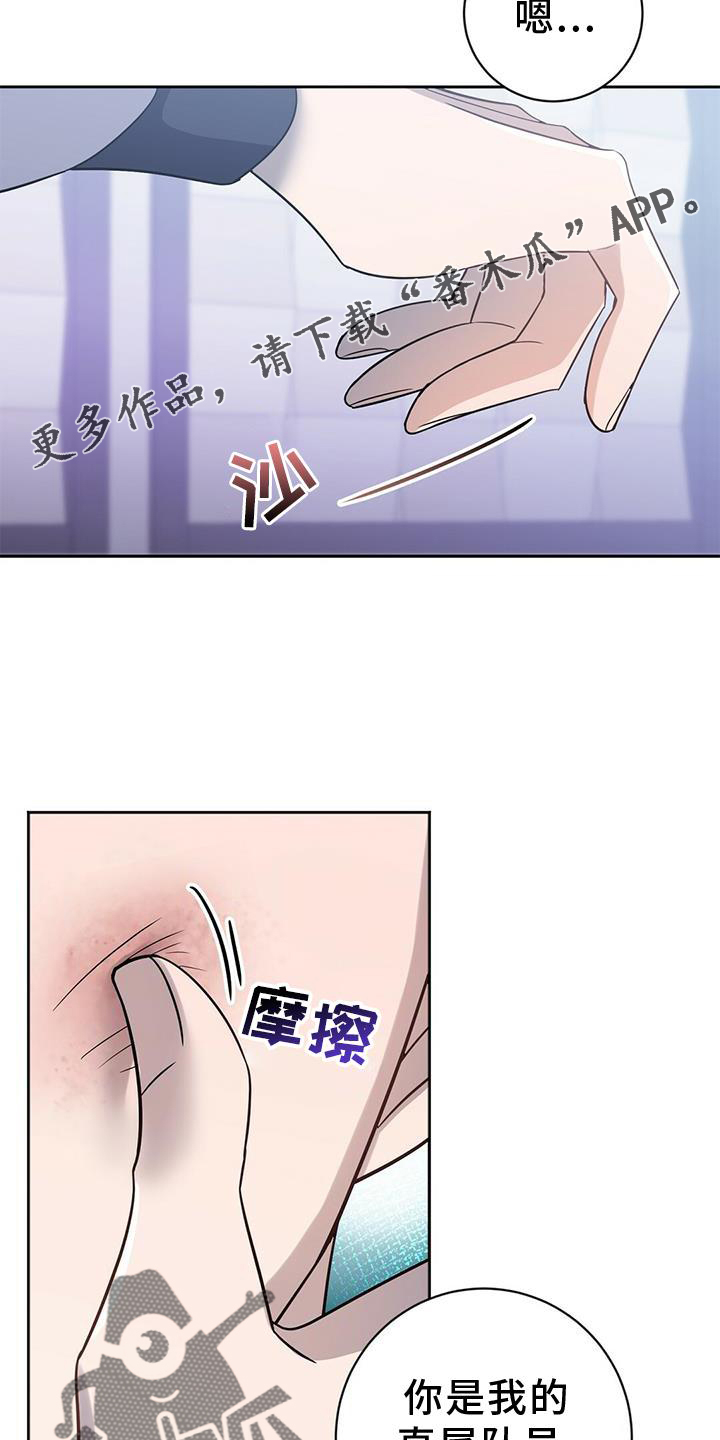 第19章：有意思11