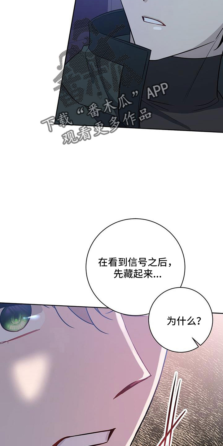 第43章：我喜欢你19