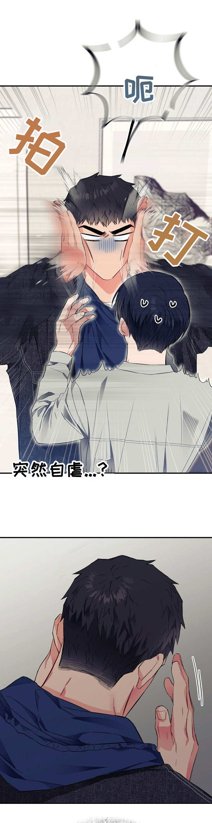 第24章：错觉11