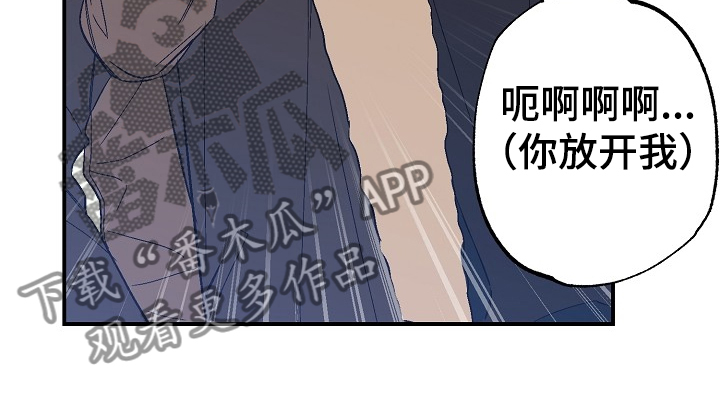 第73章：迁怒37