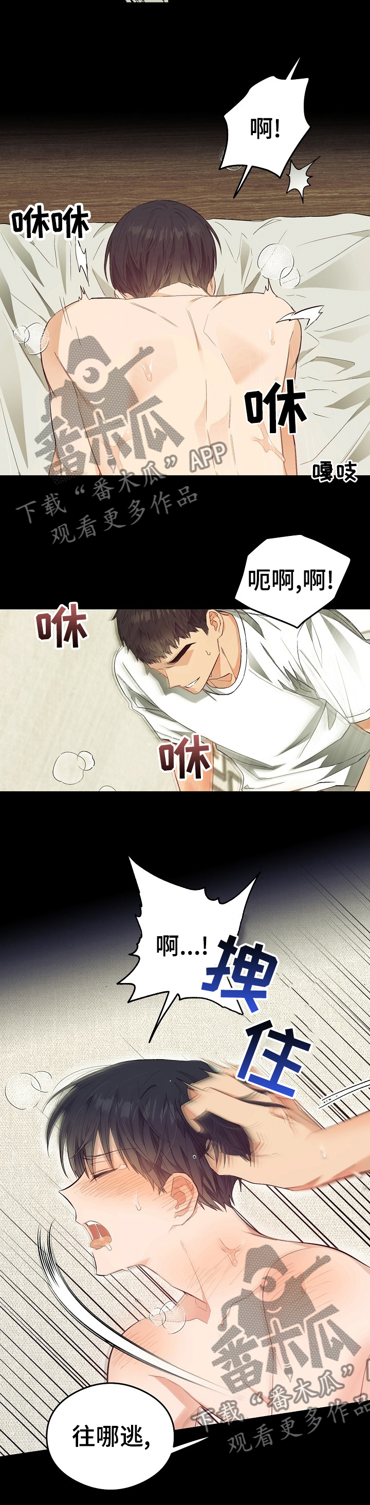 第35章：给我介绍个人5