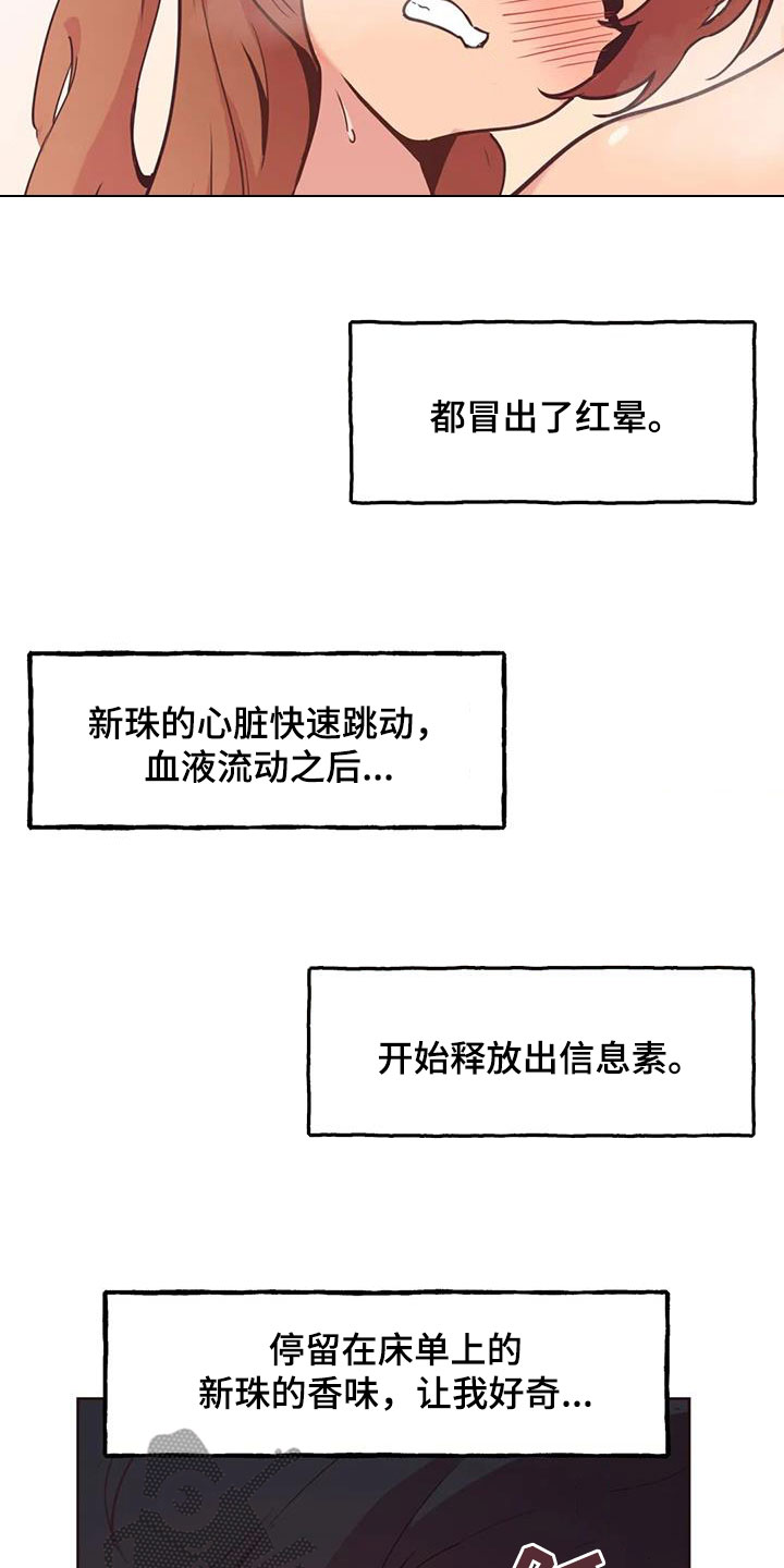 第16章：香味9