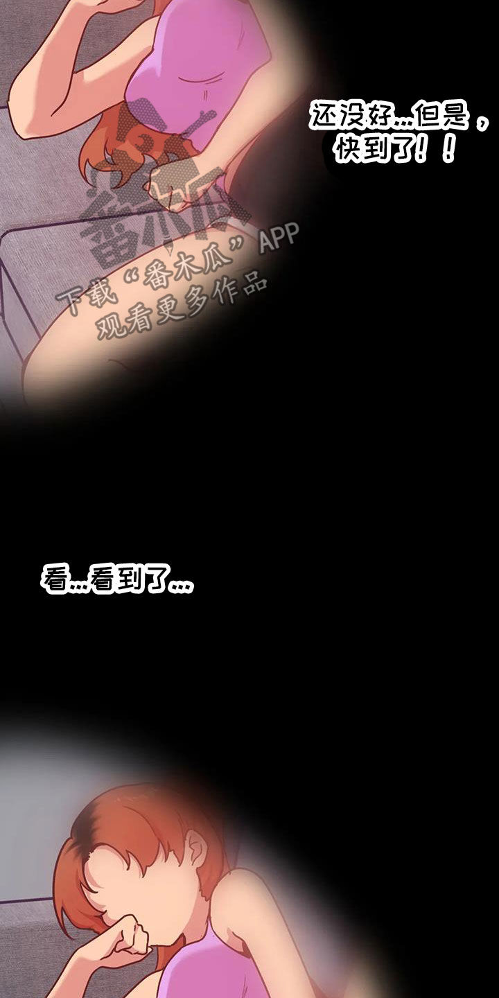 第13章：偷看20