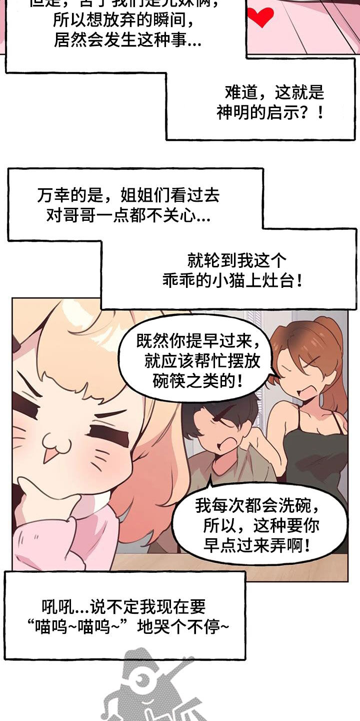 第28章：小猫上灶台15