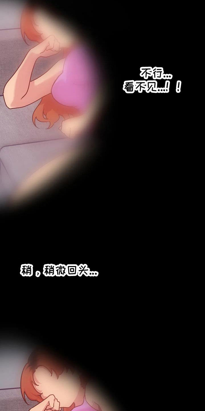 第13章：偷看19