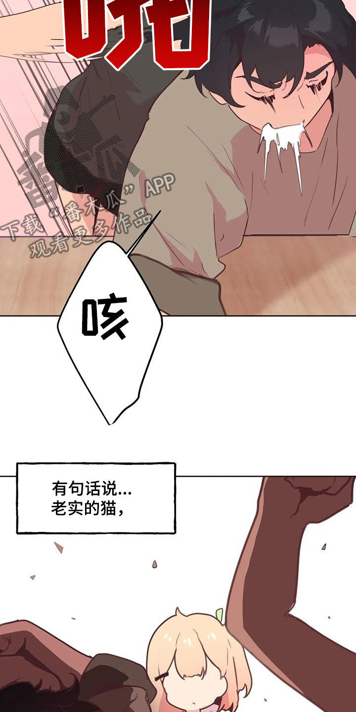 第28章：小猫上灶台22