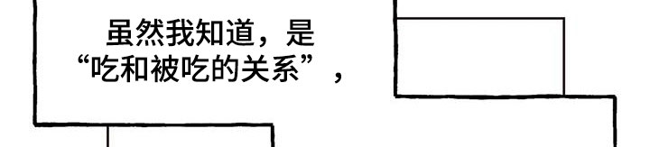 第14章：落下的东西21