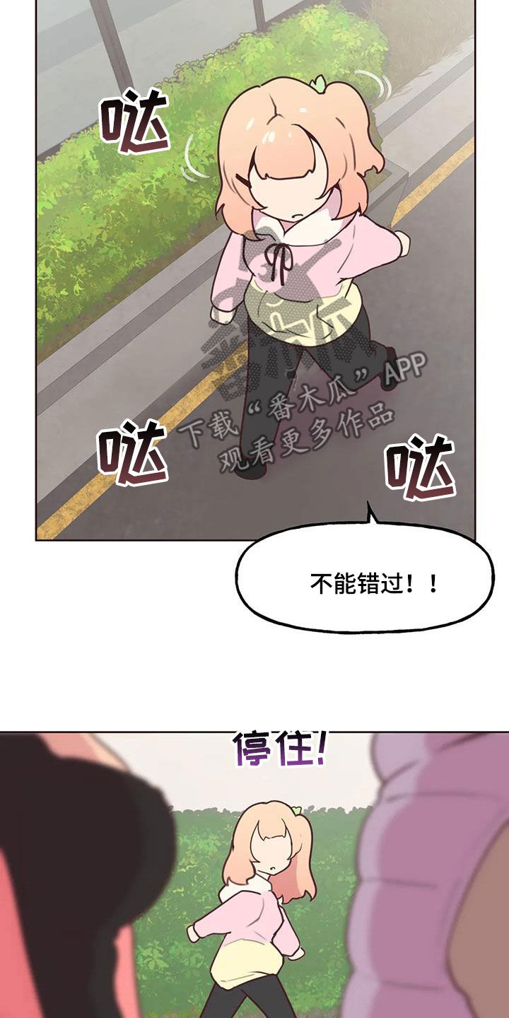 第29章：跟踪18