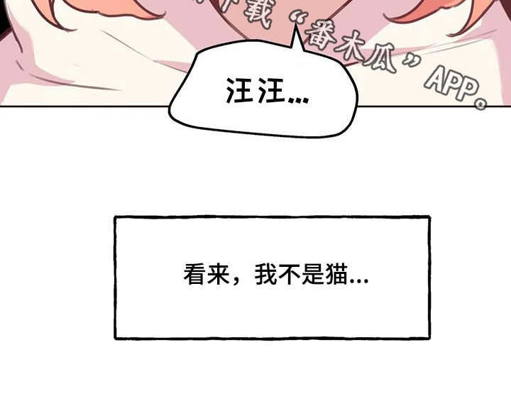 第28章：小猫上灶台24