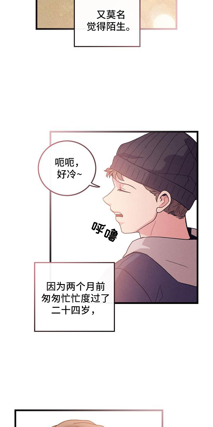 第103章：【第二季】最耀眼的爱（完结）13