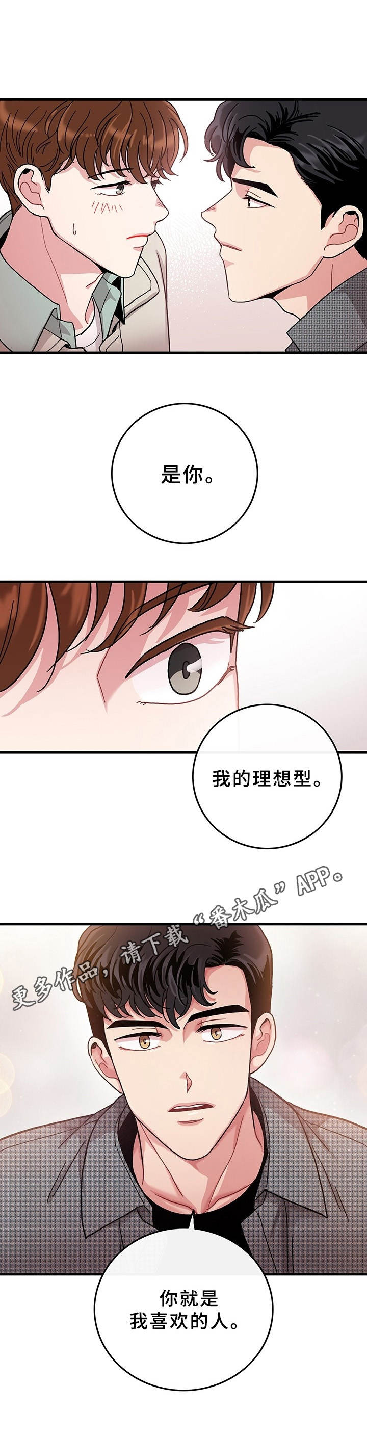 第11章：理想型4
