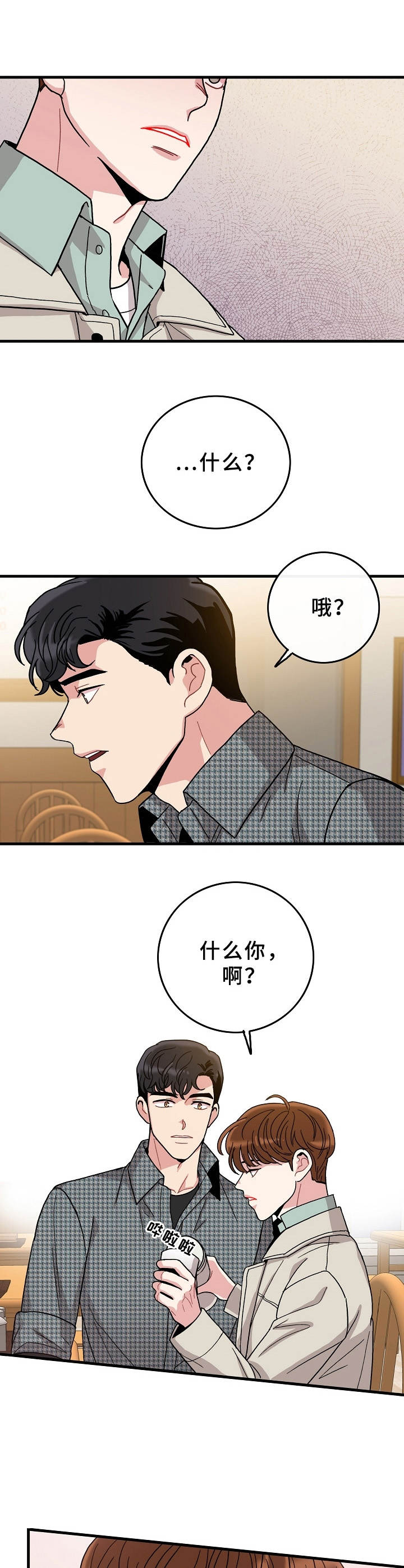 第11章：理想型5