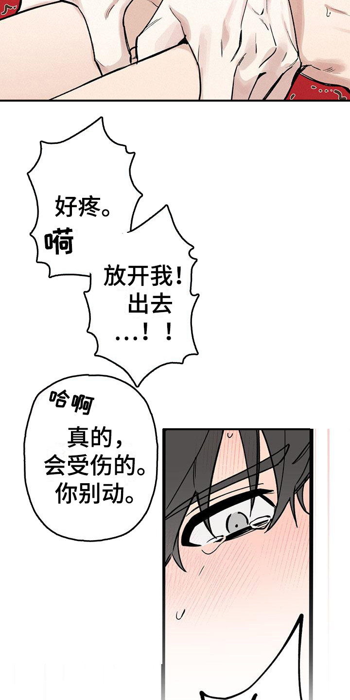 第24章：你想要的没有实现：疼痛18