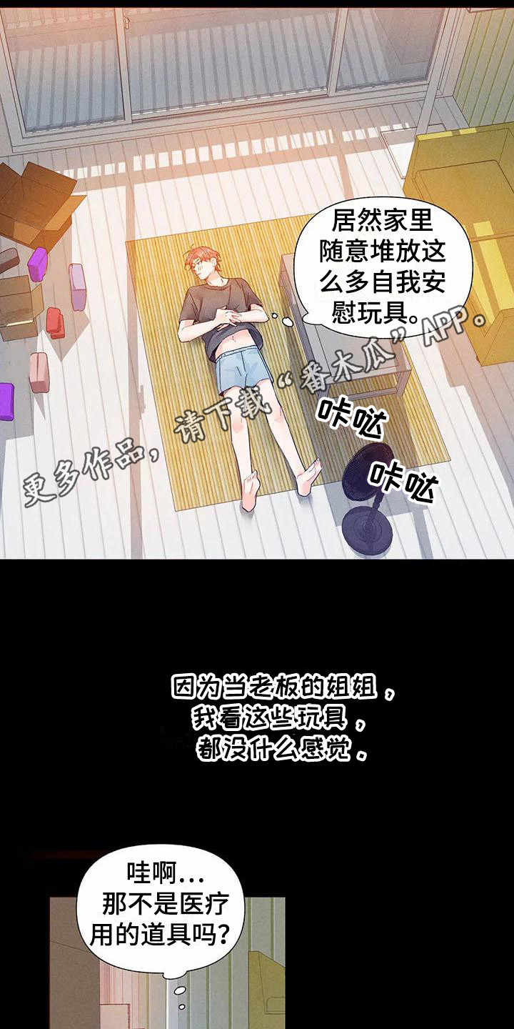 第15章：哦，这是一个玩具：好奇10