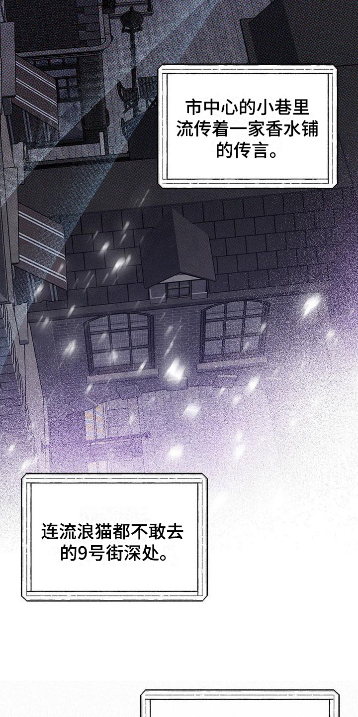 第1章：精华：神秘香水铺16