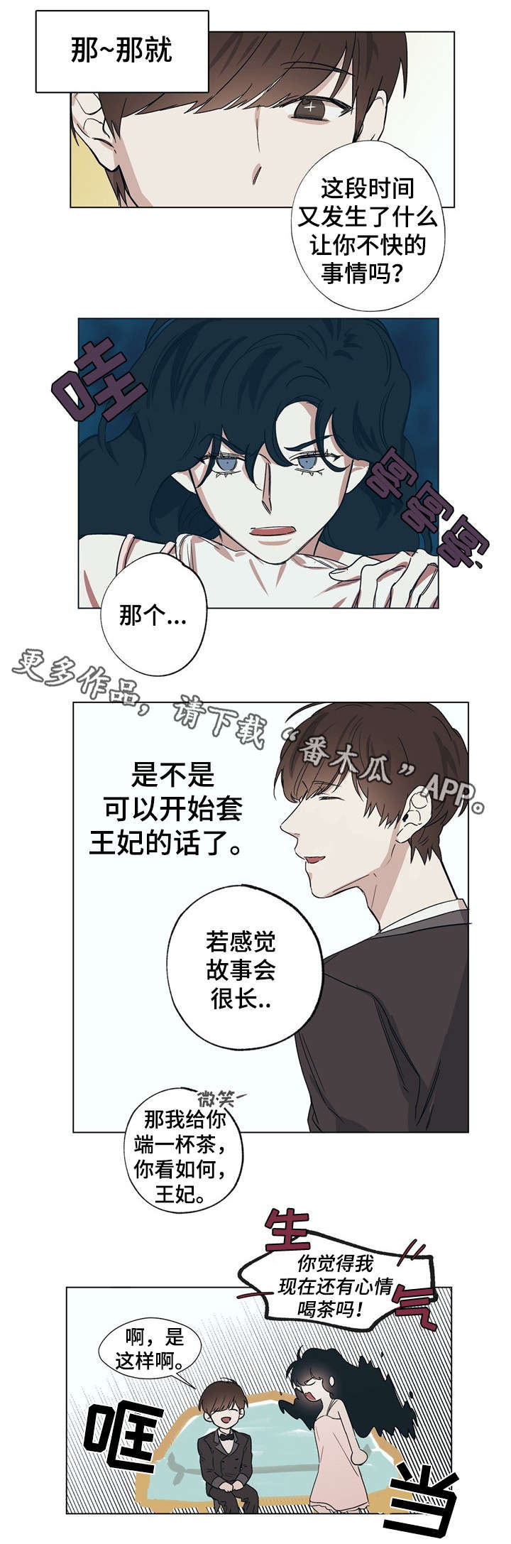 第13章：王妃的怒意2
