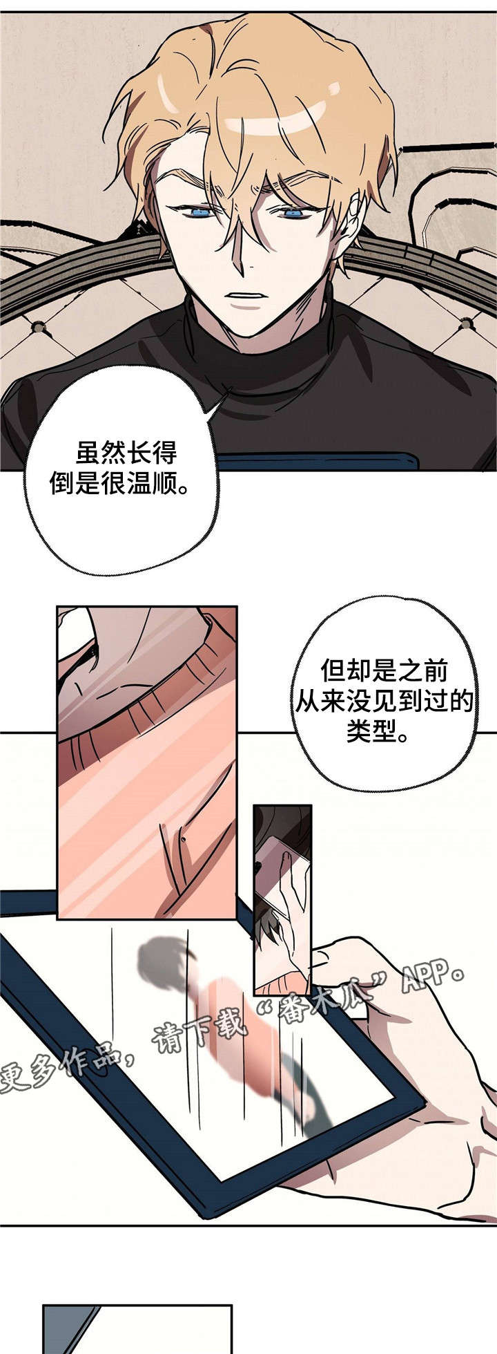 第19章：中场休息4
