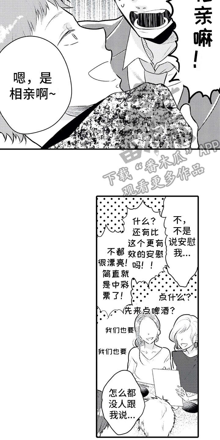 第4章：相亲11