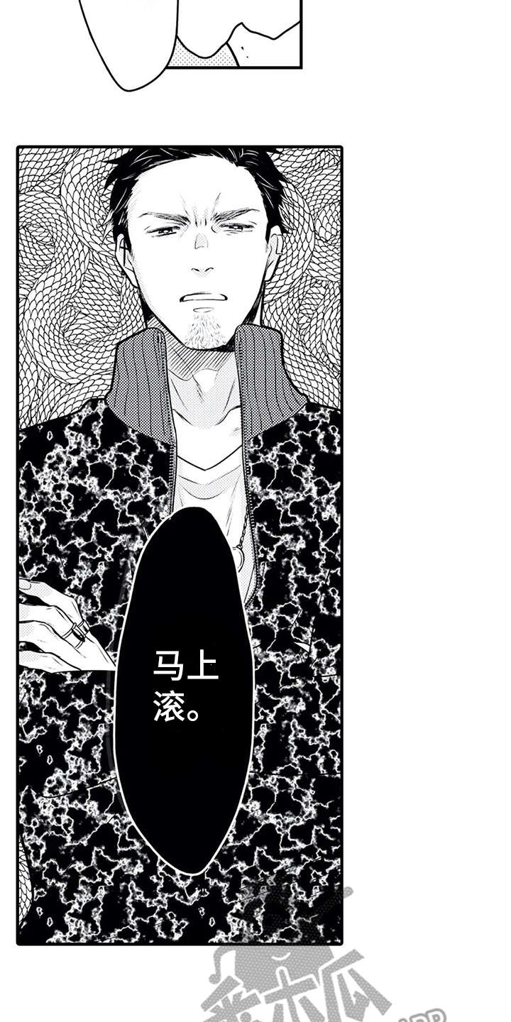第15章：粉丝10