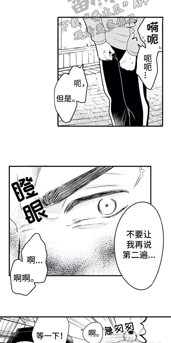 第15章：粉丝11