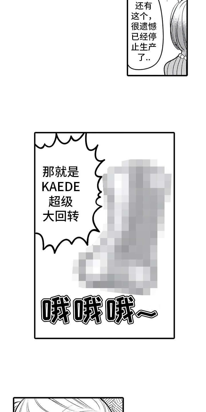 第18章：参观11