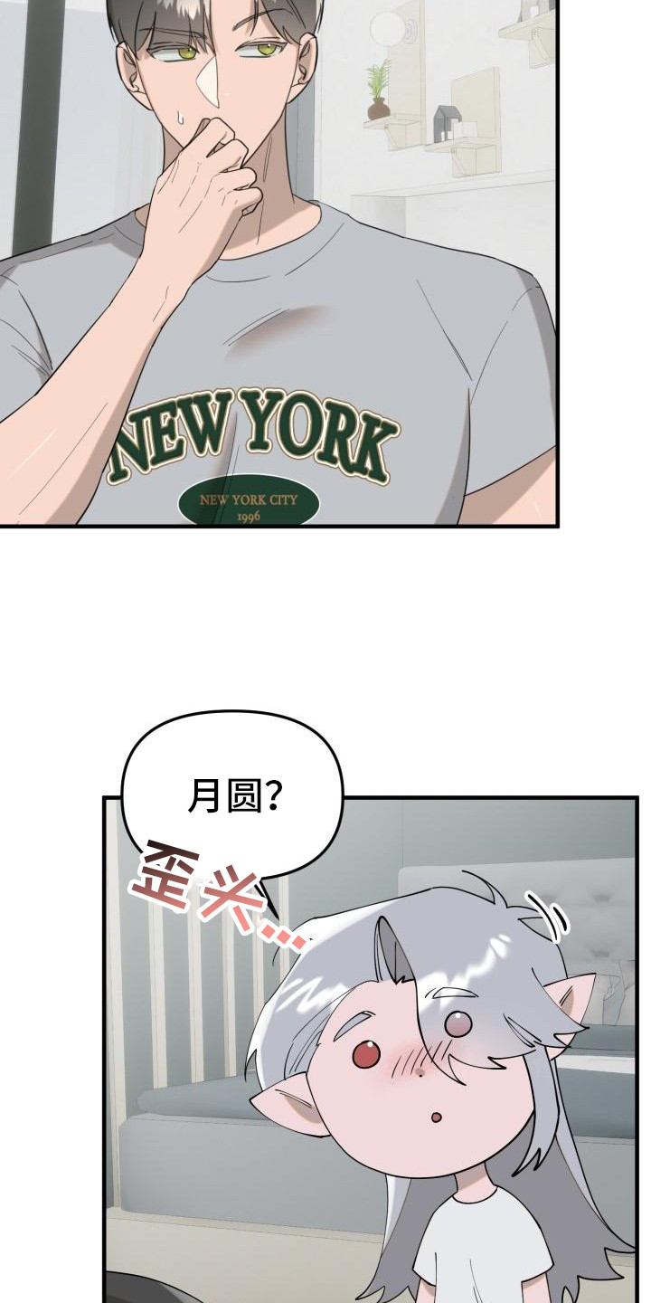 第3章：吸血鬼13