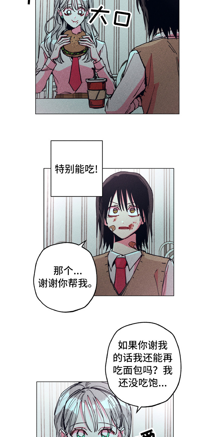 第2章：铲除暴力13