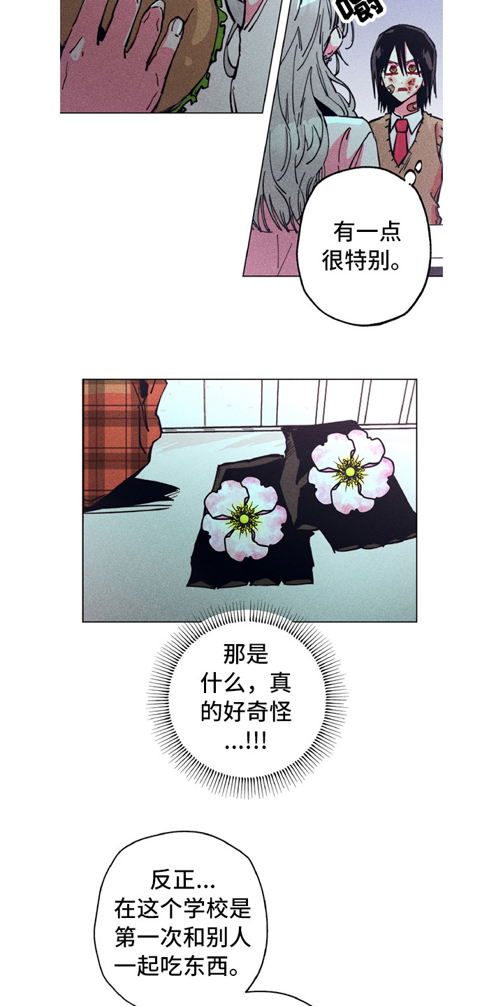第3章：疯狗1