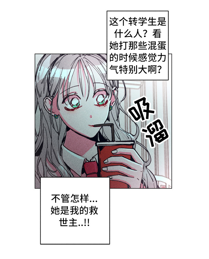 第2章：铲除暴力15