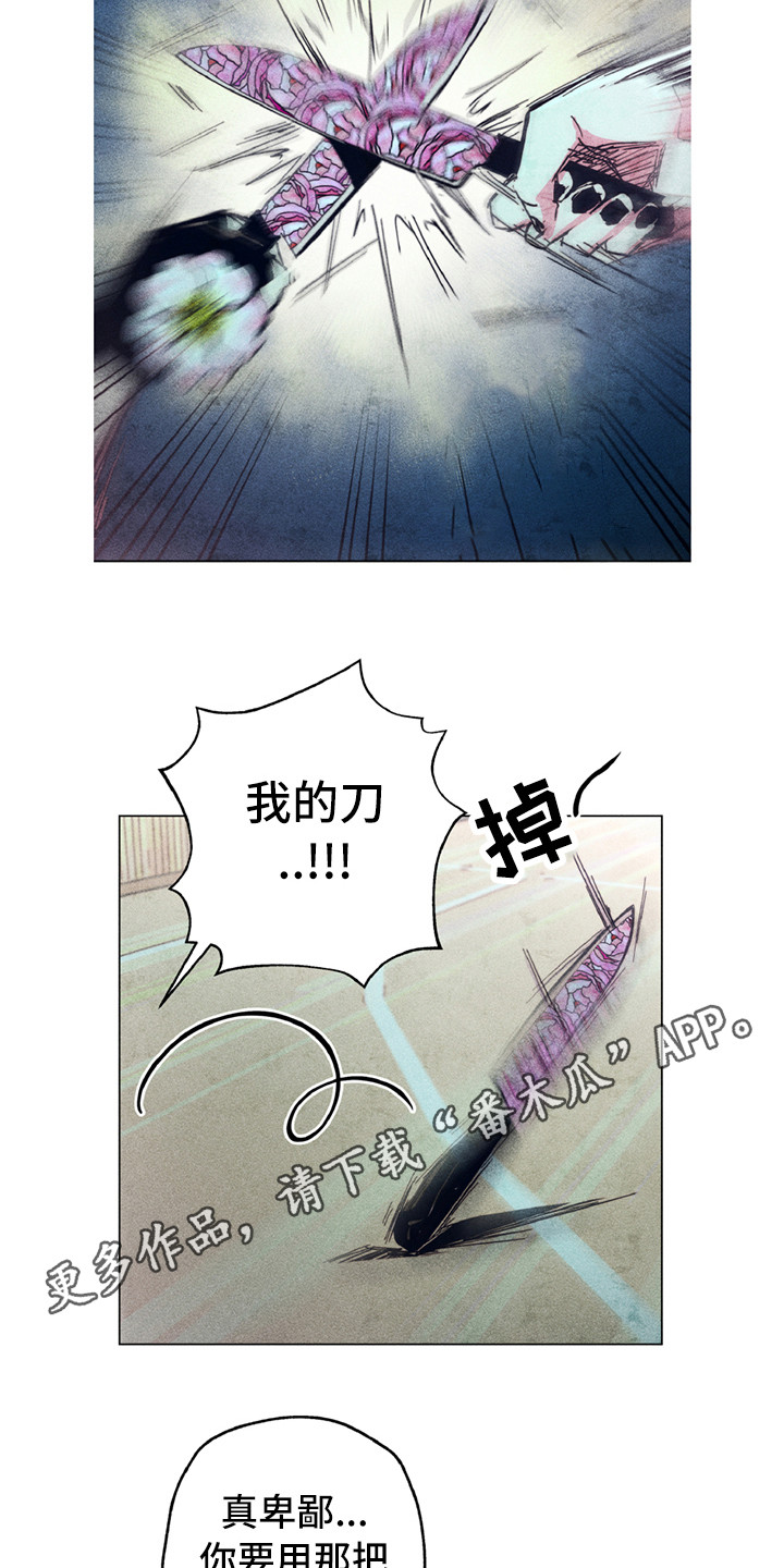 第10章：共同守护（完结）7